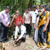 National Plantation Day Environment Program 2022.09.17 - 23 Rukropana Week / Homagama